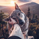 Максим Русочёв